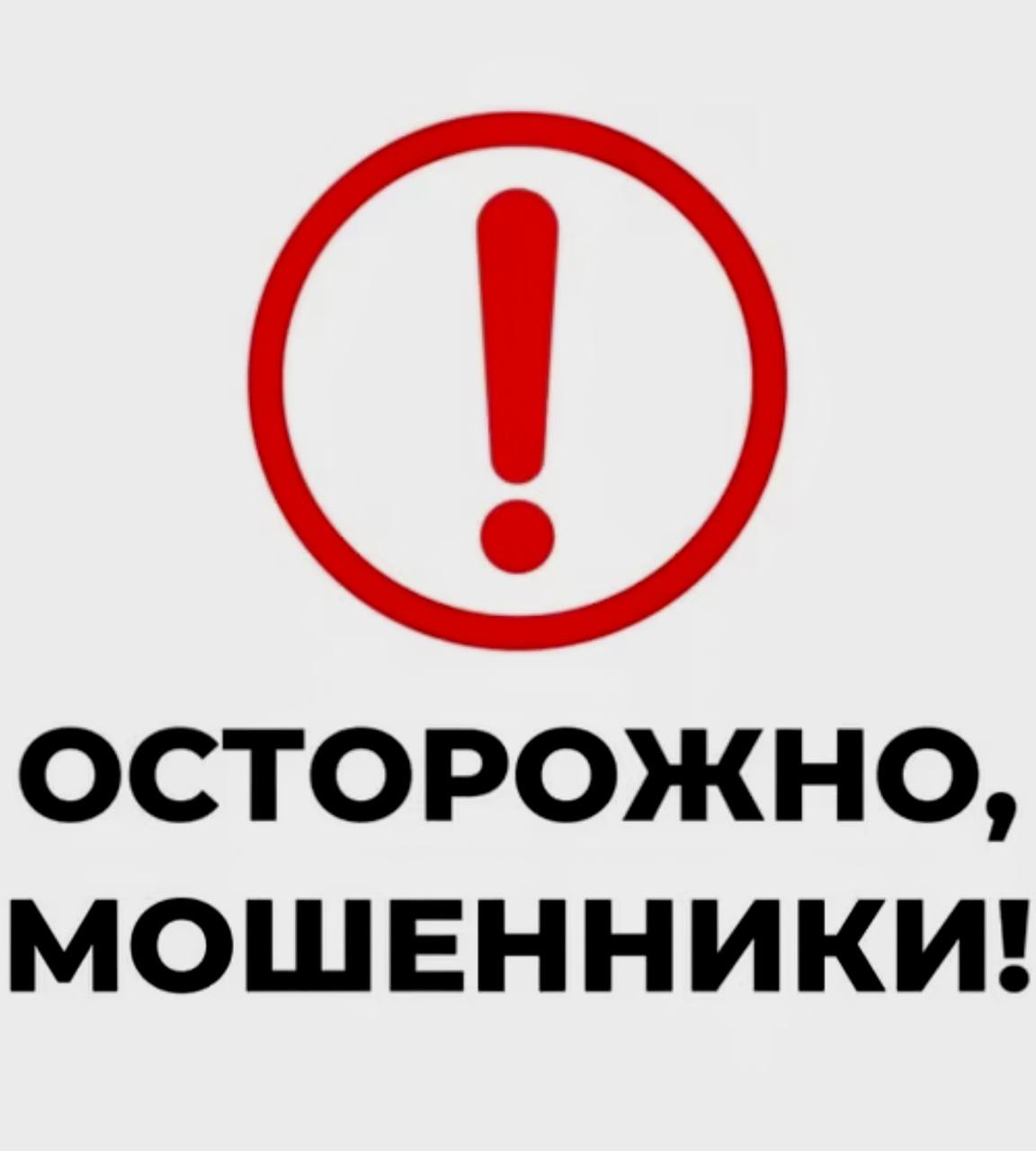 photo_5382079138904085077_y