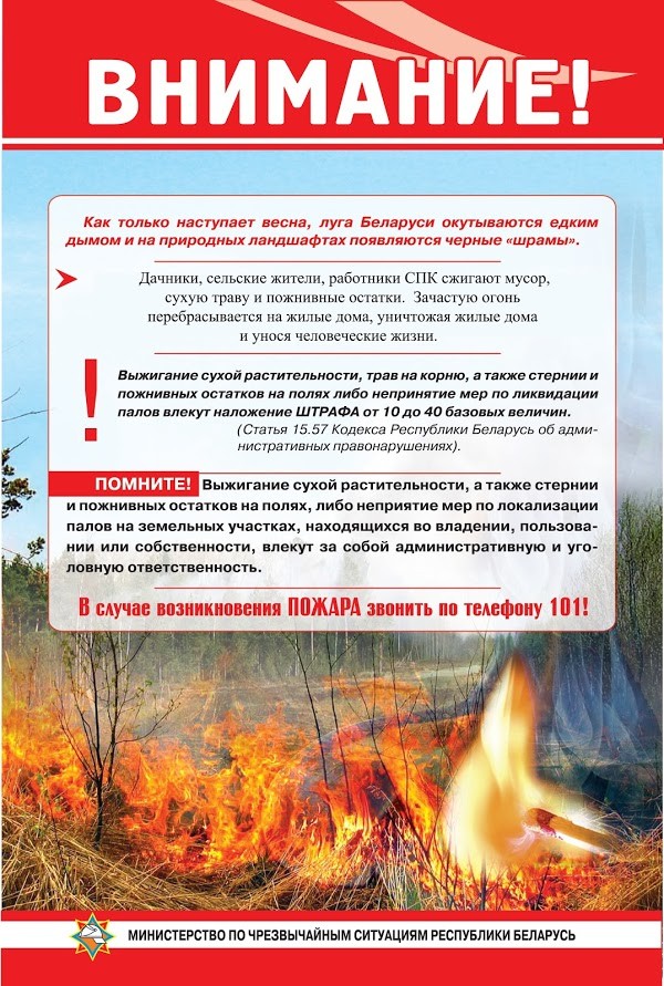 изображение_viber_2026-03-09_10-45-10-053